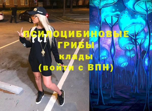 гидропоника Богданович