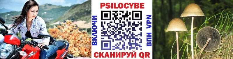 Псилоцибиновые грибы GOLDEN TEACHER  Сосновый Бор 