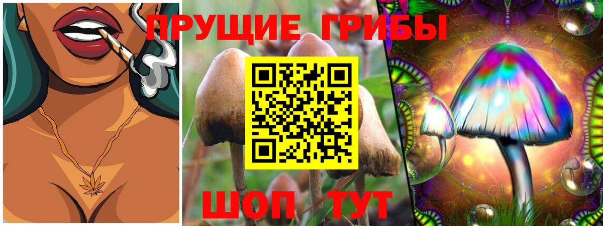 Галлюциногенные грибы GOLDEN TEACHER  Сосновый Бор 