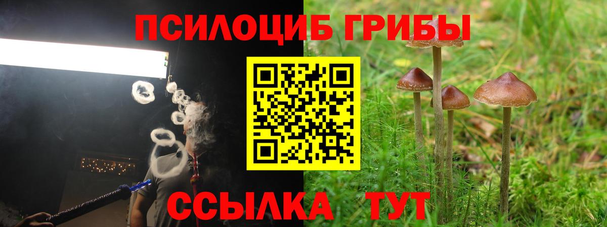Псилоцибиновые грибы Psilocybine cubensis  Псилоцибиновые грибы MAGIC MUSHROOMS  Вход с VPN  Сосновый Бор 